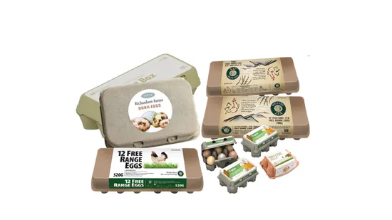 Strawberry Blueberry Clamshell Fruit Box Labeling Machine & Berry Punnet Labeler - Punnet Labeling M